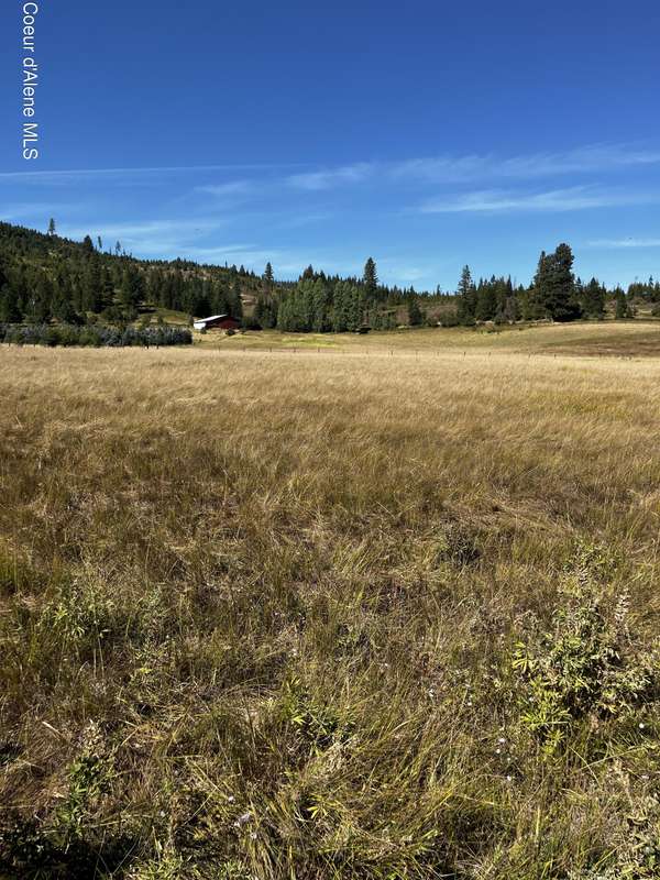 7971 Windfall Pass Rd, St. Maries, ID 83861