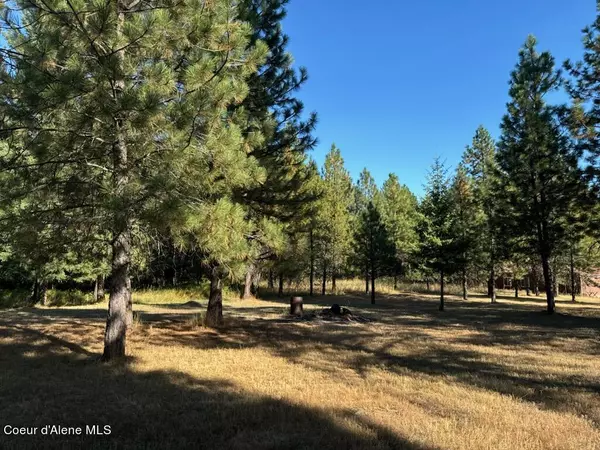 Oldtown, ID 83822,Lot 29 S Diamond Heights Rd