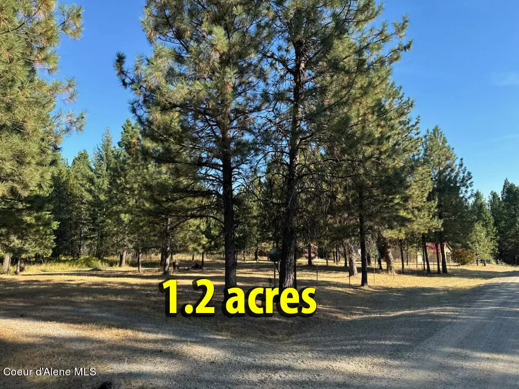 Oldtown, ID 83822,Lot 29 S Diamond Heights Rd