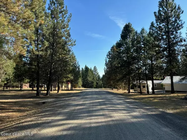 Oldtown, ID 83822,Lot 29 S Diamond Heights Rd