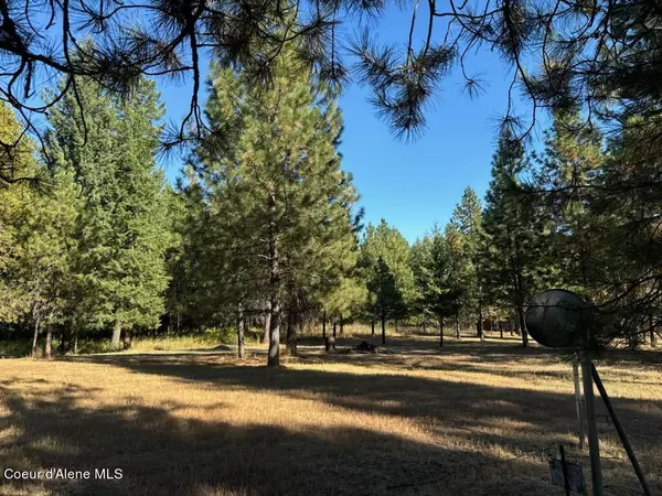 Oldtown, ID 83822,Lot 29 S Diamond Heights Rd