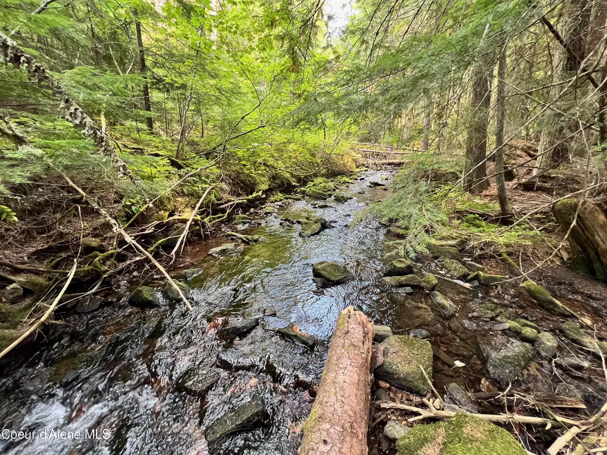 Fernwood, ID 83830,720 White Pine WAY