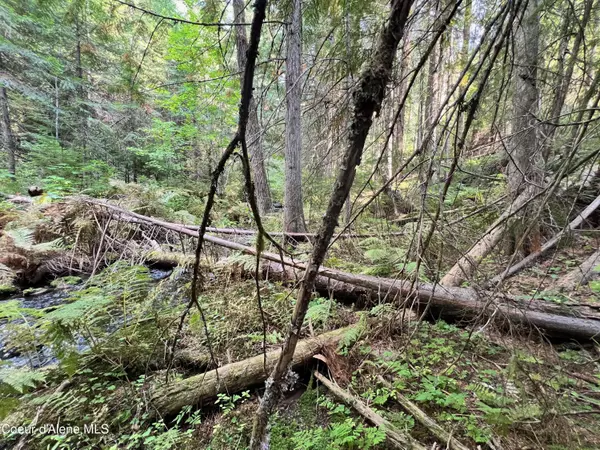 Fernwood, ID 83830,720 White Pine WAY