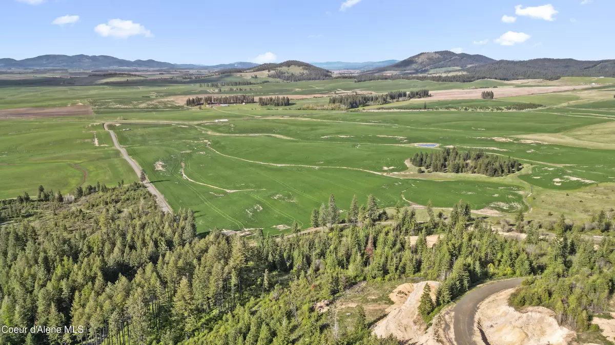 Plummer, ID 83851,Lot 1 Lone Moose Dr