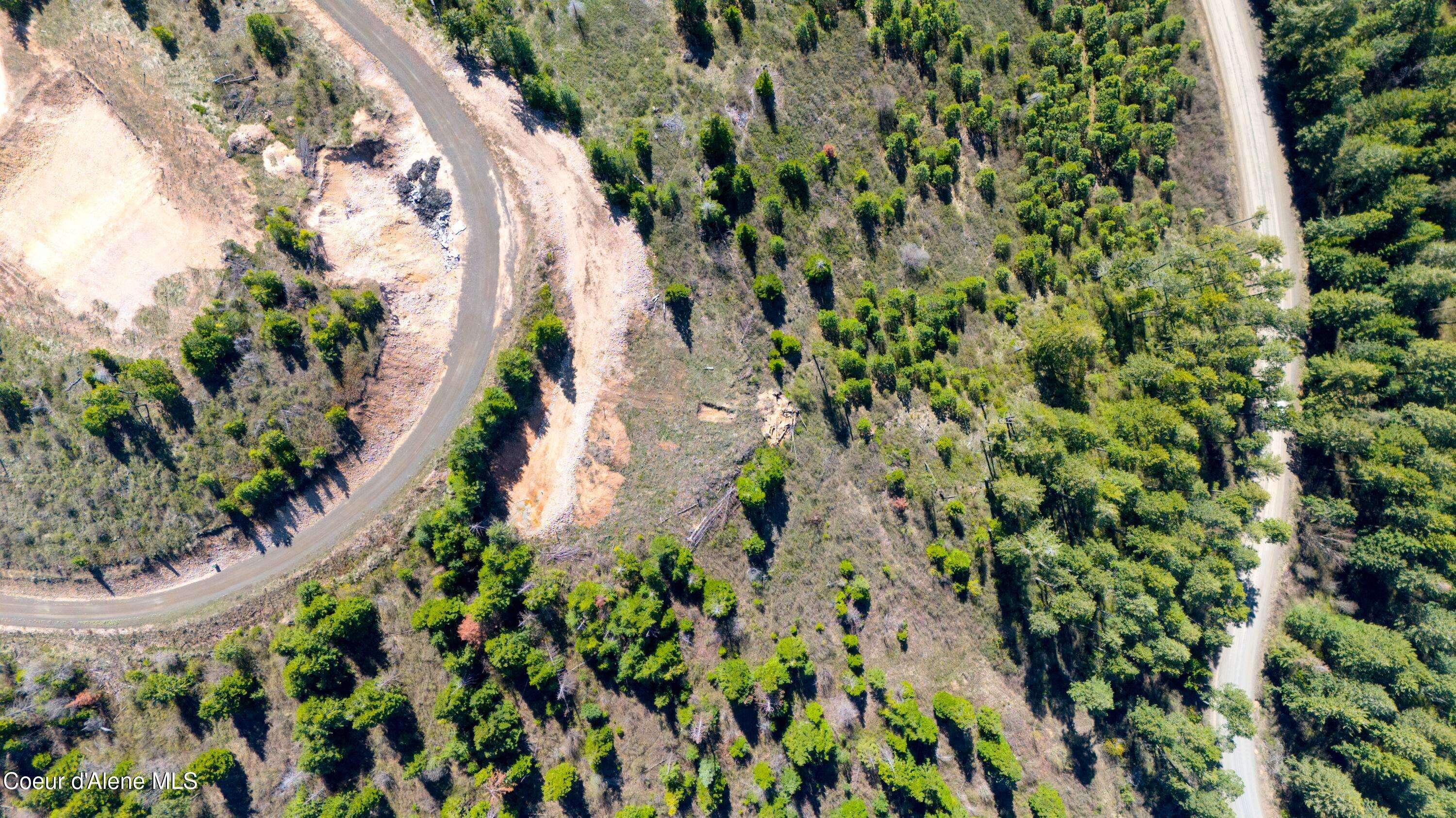 Plummer, ID 83851,Lot 1 Lone Moose Dr