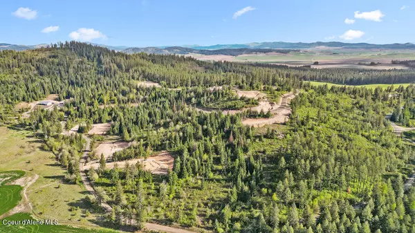 Plummer, ID 83851,Lot 12 Lone Moose Dr