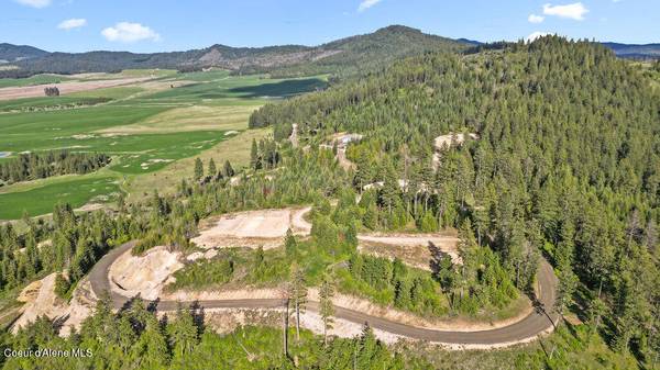 Lot 12 Lone Moose Dr, Plummer, ID 83851