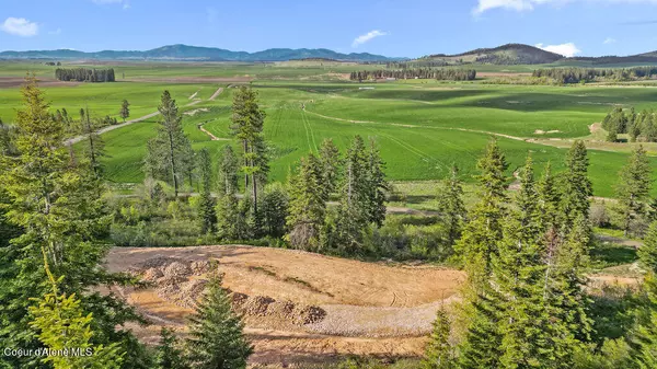 Plummer, ID 83851,Lot 13 Lone Moose Dr