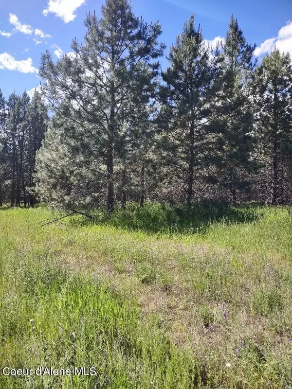 Bonners Ferry, ID 83805,Lot 21 Champs Road