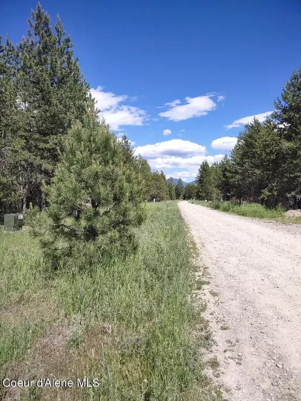 Bonners Ferry, ID 83805,Lot 21 Champs Road