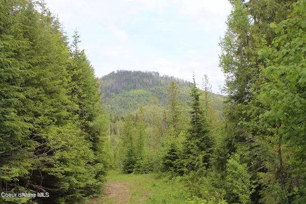 Priest River, ID 83856,NKA Ropp Rd.