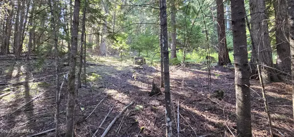 Cataldo, ID 83810,NNA S Poplar St 26 acres