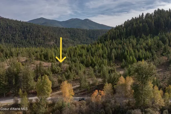 Moyie Springs, ID 83845,NKA Old Highway Two LOOP