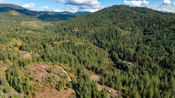 St. Maries, ID 83861,Grassy Mountain Vista