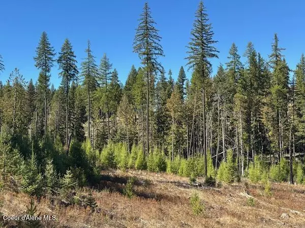 St. Maries, ID 83861,Lot 2 Flat Creek Rd