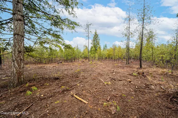 Rathdrum, ID 83858,L5 B1 N Mountain View Rd