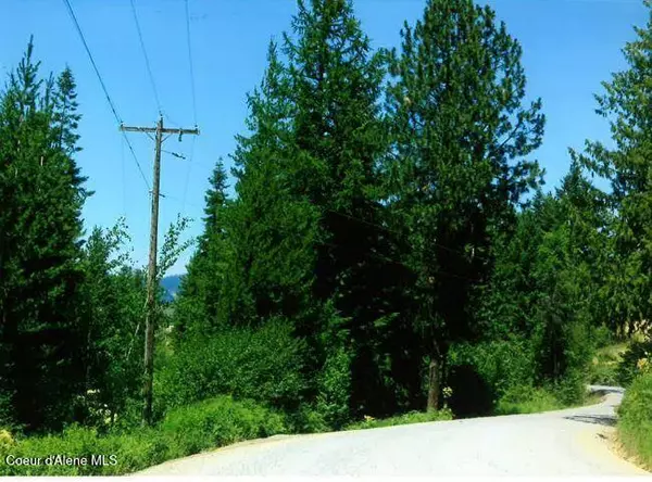 Cataldo, ID 83810,NKA TAMARACK RIDGE RD 1.35 ACRES