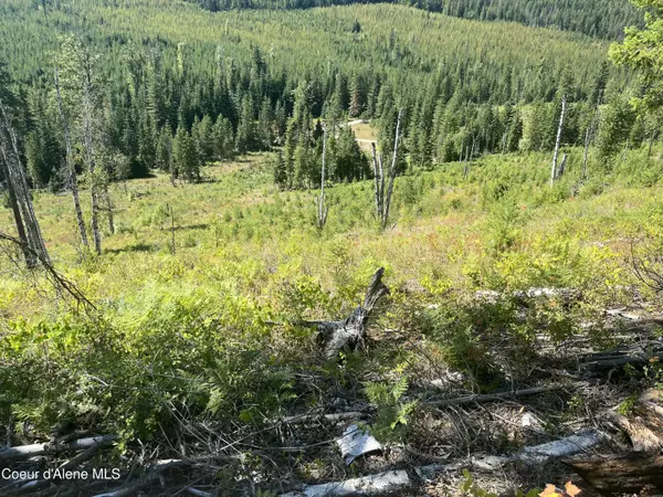 Clark Fork, ID 83811,NKA NFD 2294 Tract 1