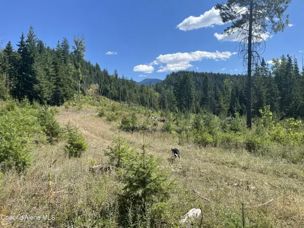 Clark Fork, ID 83811,NKA NFD 2294 Tract 1
