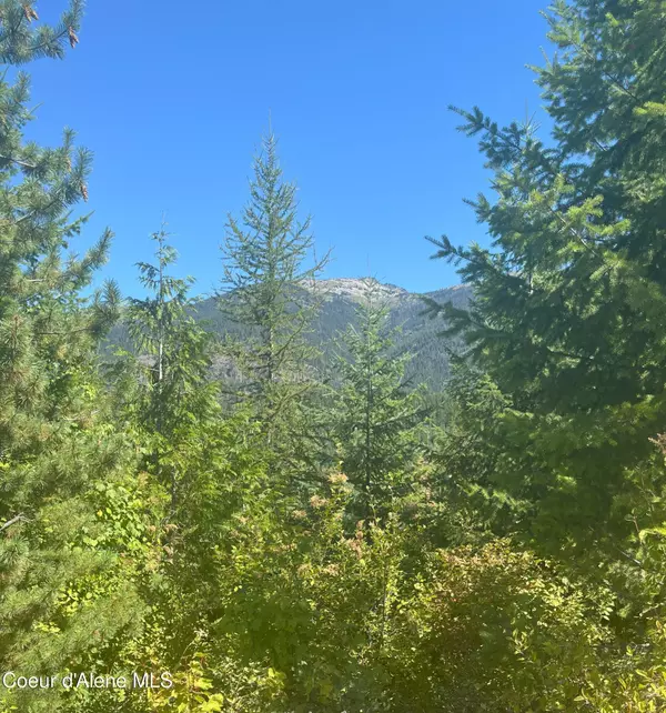 Clark Fork, ID 83811,NKA NFD 2294