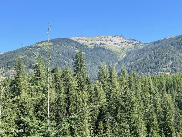 Clark Fork, ID 83811,NKA NFD 2294