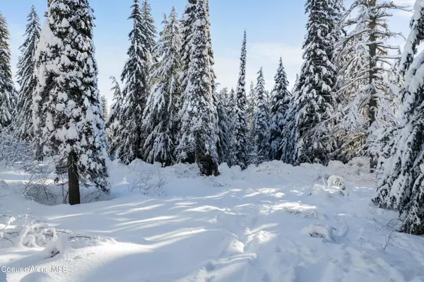 Sandpoint, ID 83864,BLK3LOT16 Ullr Dr