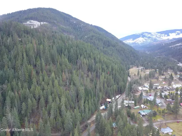 Pinehurst, ID 83850,NKA W Fork Pinecreek Rd