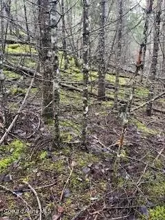 Bayview, ID 83803,NNA UNIT 1 BLK 3 LOT 9