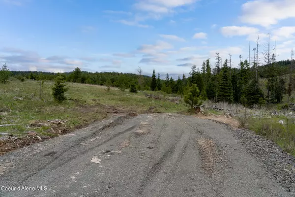 Santa, ID 83866,1379 Sheep Creek Parcel B