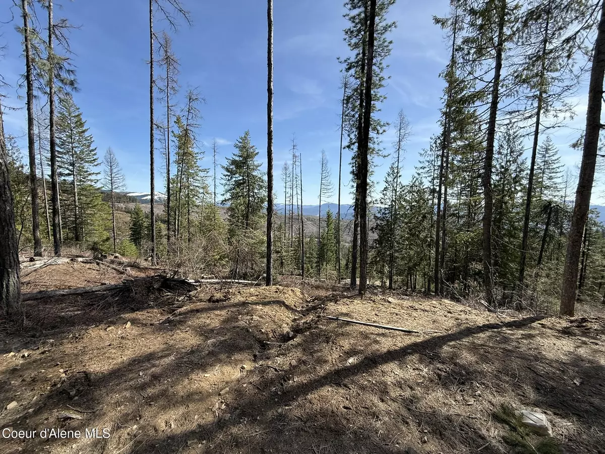 Fernwood, ID 83830,721 Upriver View Dr