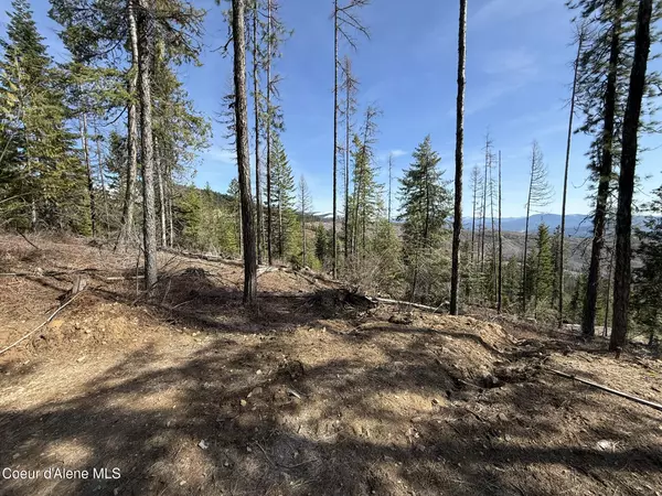 Fernwood, ID 83830,721 Upriver View Dr