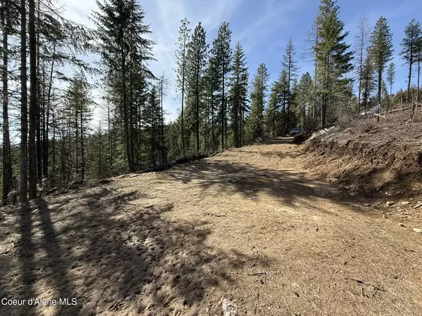 Fernwood, ID 83830,721 Upriver View Dr