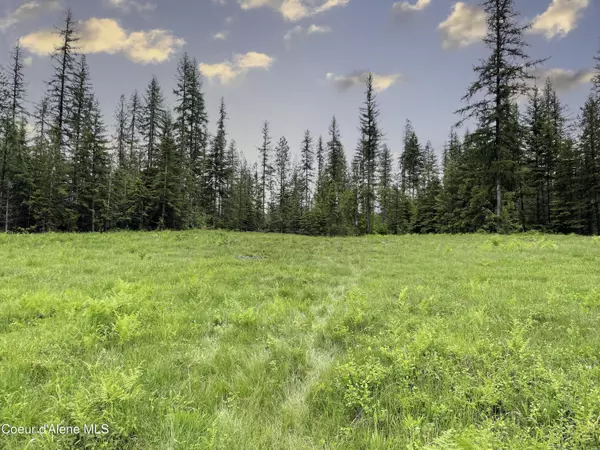 Clark Fork, ID 83811,1150 Old Range Rd