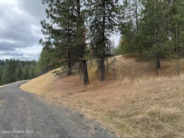 Coeur d'Alene, ID 83815,NKA(Lot 2) Baby Cougar Lane