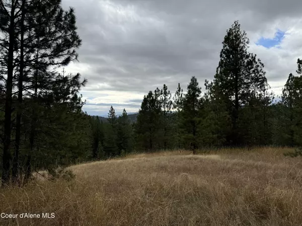 Coeur d'Alene, ID 83815,NKA(Lot 2) Baby Cougar Lane