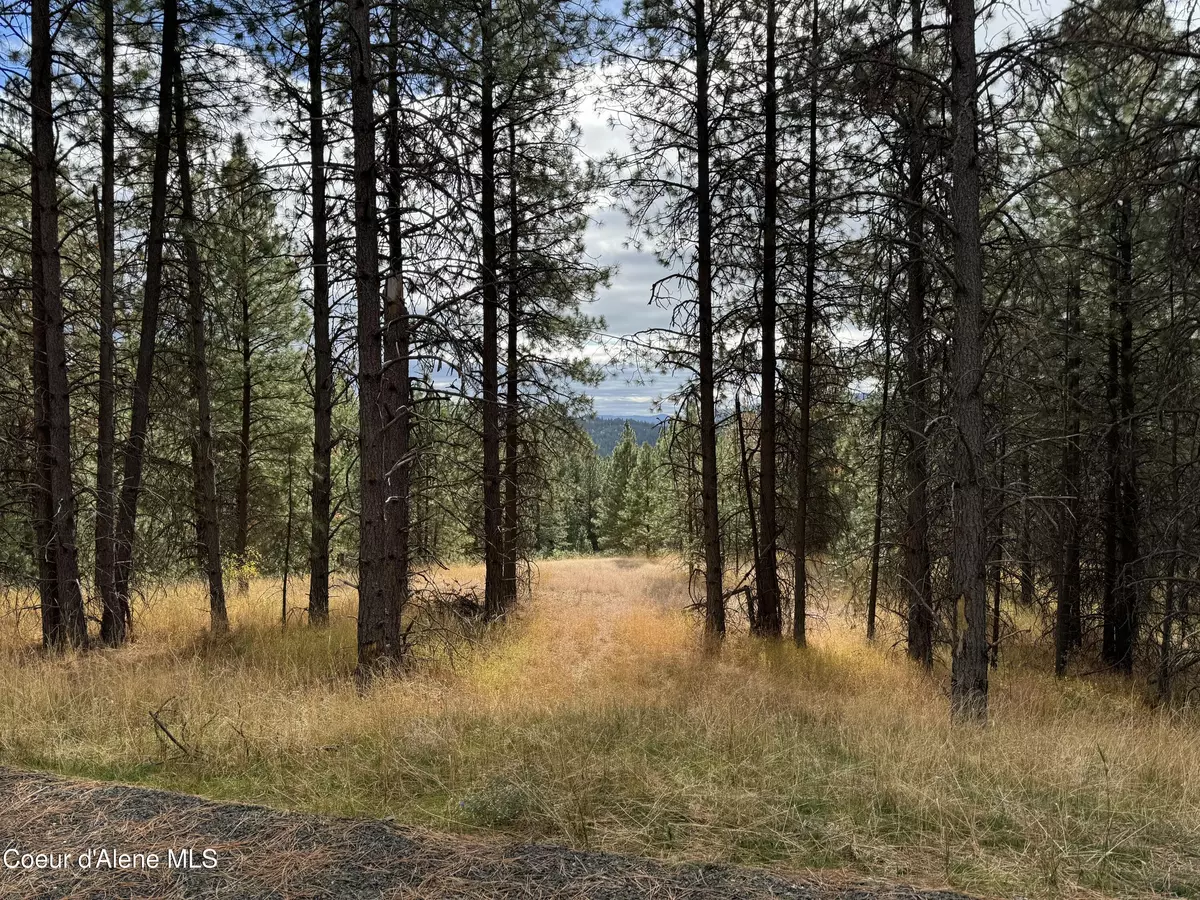 Coeur d'Alene, ID 83815,NKA(Lot 2) Baby Cougar Lane