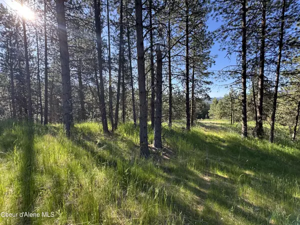 Coeur d'Alene, ID 83815,NKA(Lot 2) Baby Cougar Lane