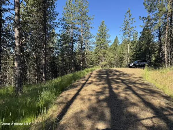 Coeur d'Alene, ID 83815,NKA(Lot 2) Baby Cougar Lane