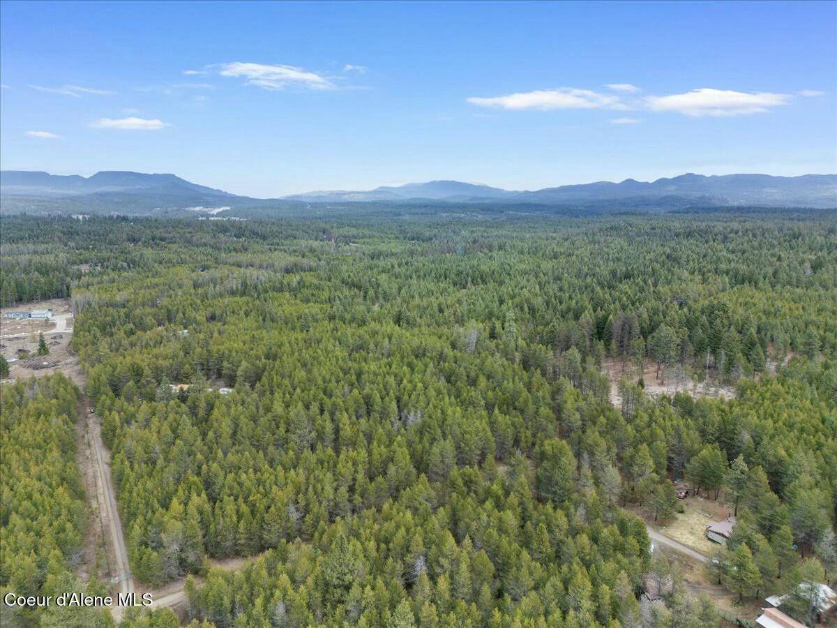 Athol, ID 83801,NKA E Trinity Ln
