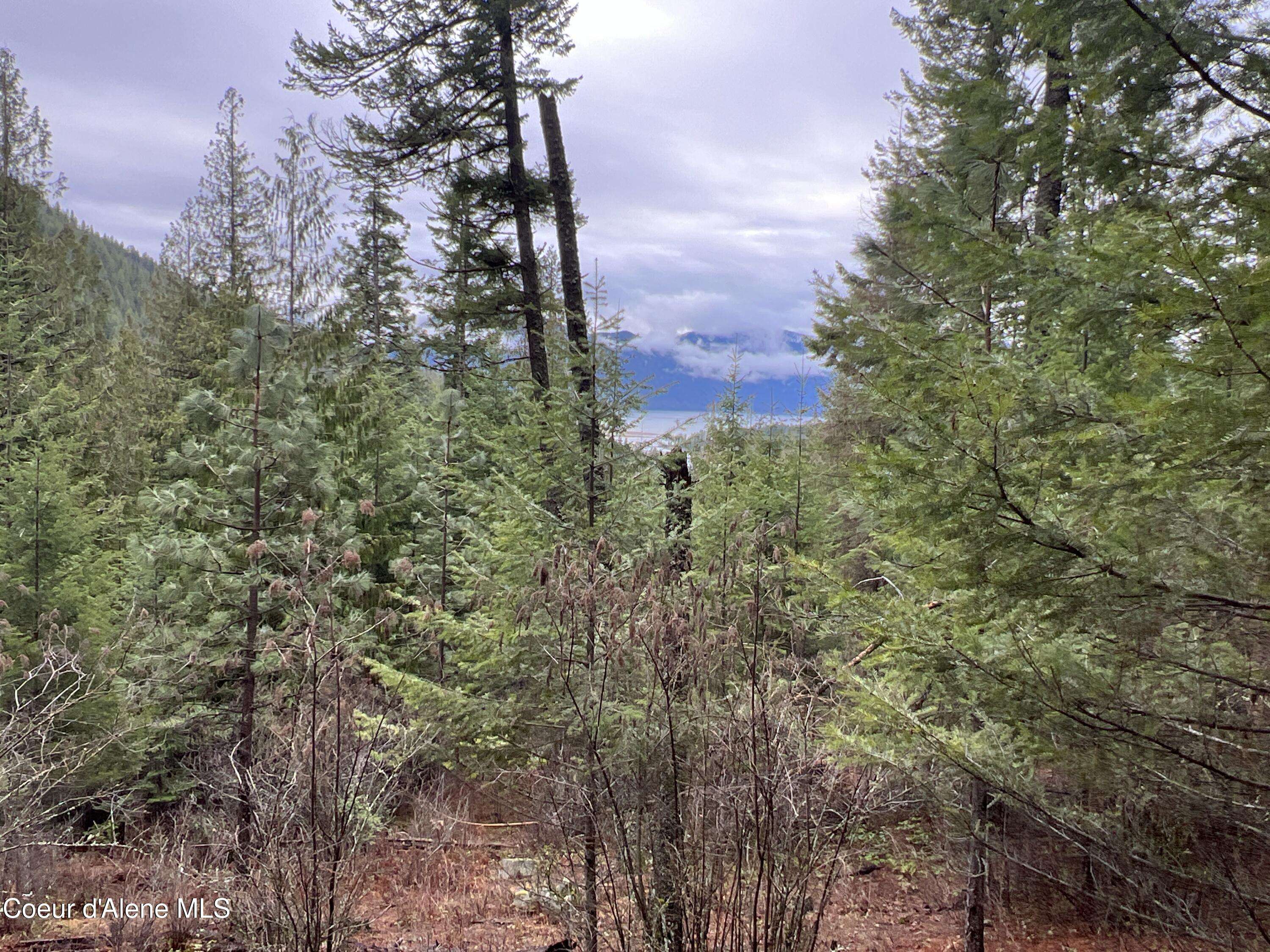 NKA O'Neill Mountian Rd, Hope, ID 83836