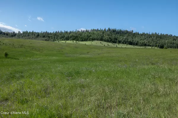 Plummer, ID 83851,Lot C Merideth Rd