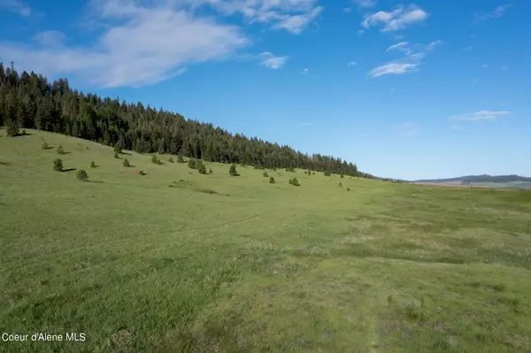 Plummer, ID 83851,Lot C Merideth Rd