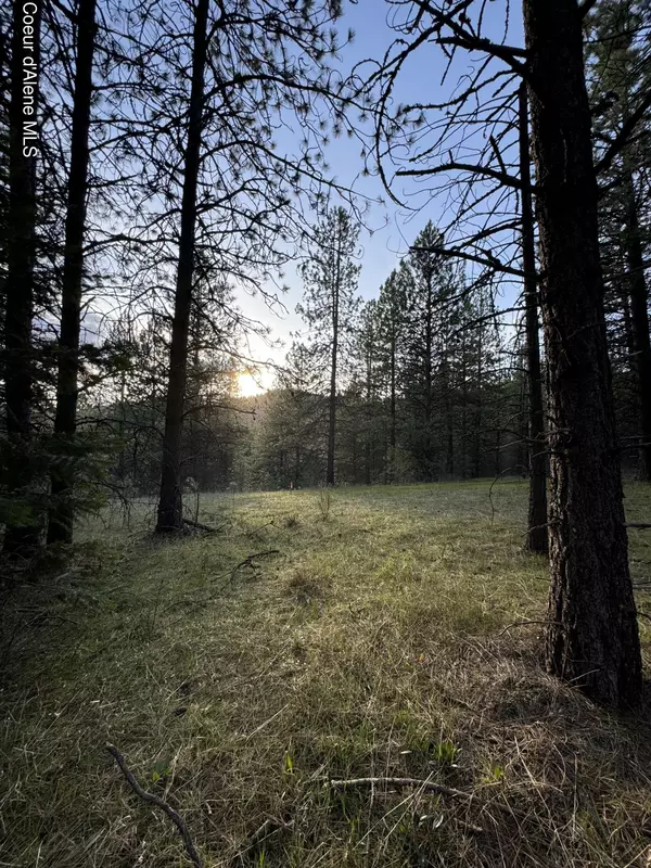 Coeur d'Alene, ID 83815,NKA(Lot 3) Baby Cougar Lane