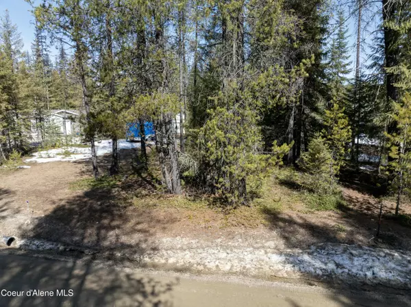 Priest Lake, ID 83856,Blk4 Lot8 Williams Dr