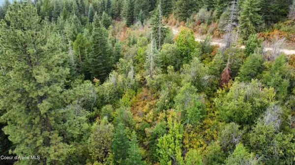 Fernwood, ID 83830,2407 Crystal Peak Rd