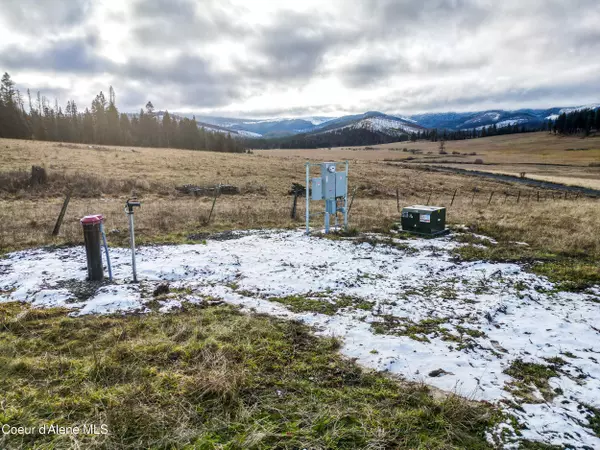 Santa, ID 83866,2879 Tyson Creek Rd