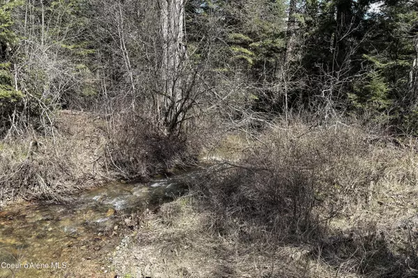 Clark Fork, ID 83811,NNA Timber Ridge Trail