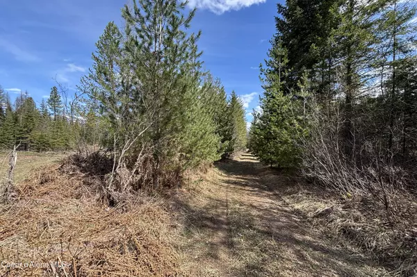 Clark Fork, ID 83811,NNA Timber Ridge Trail