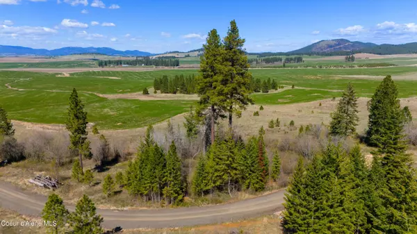 Plummer, ID 83851,Lot 4 Lone Moose Dr