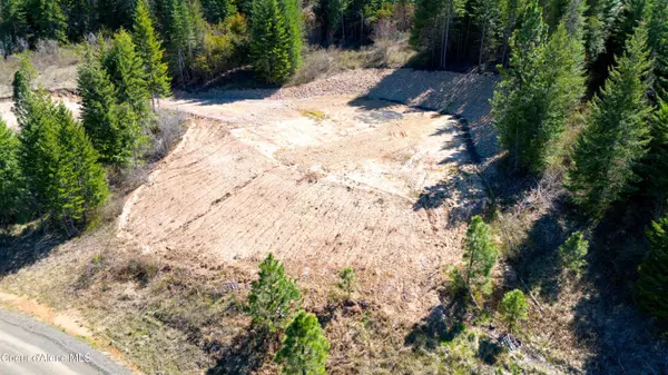 Plummer, ID 83851,Lot 4 Lone Moose Dr